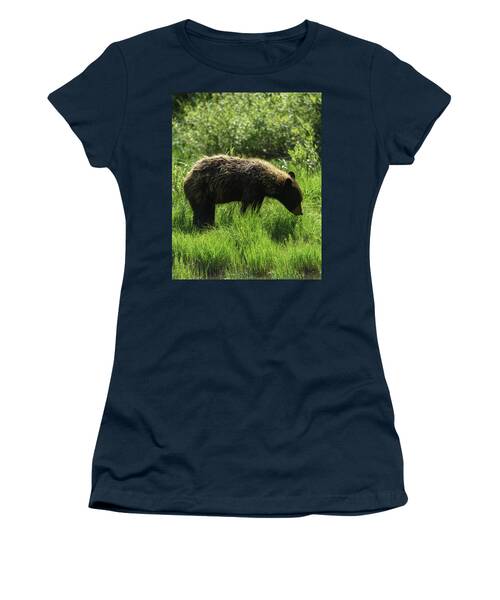 Solitary Bear In Grand Teton National Park Women's T-Shirt