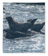 Seals Resting On Rocky Shoreline Fleece Blanket