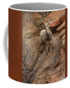 Big Horn Sheep Agile Descent In Zion National Park Coffee Mug