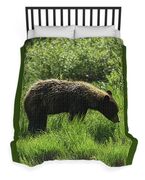 Solitary Bear In Grand Teton National Park Duvet Cover