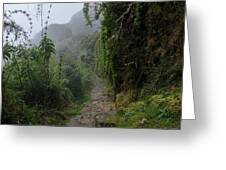 Misty Forest Pathway On The Inca Trail Greeting Card