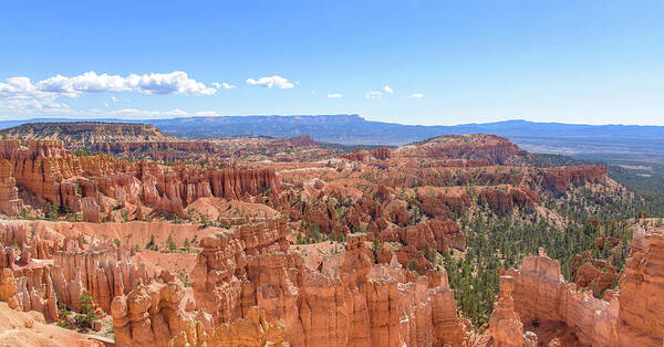 Bryce Canyon National Park Landscape Poster
