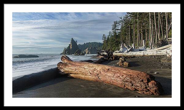 Driftwood on a Pebbled Beach Framed Print