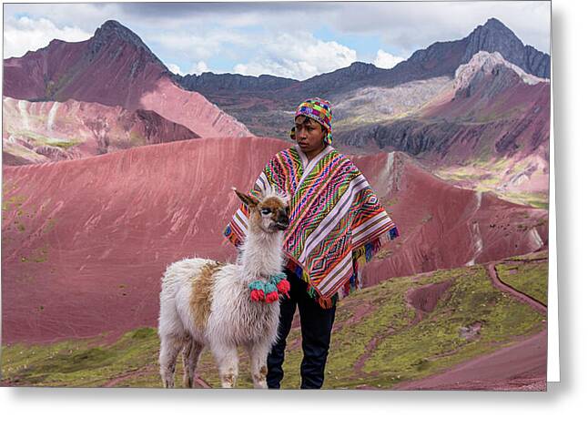 Peruvian Scene With Red Valley And Llama Greeting Card