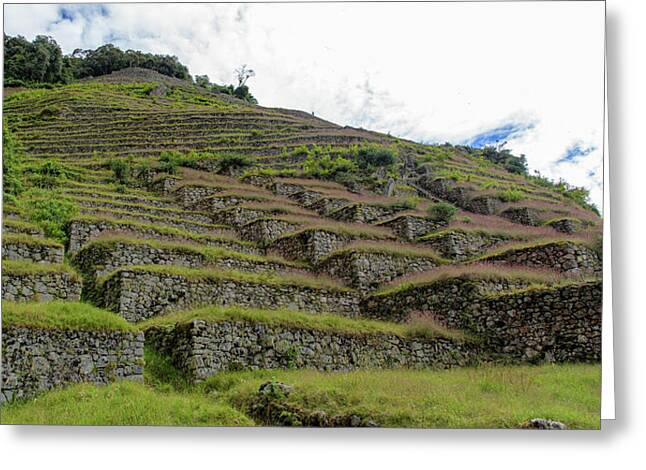 Ancient Terraces Amidst Greenery Greeting Card