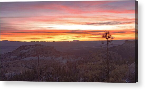 Serene Mountain Sunrise In Bryce Canyon National Park Acrylic Print