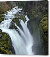 Serene Flow Through Mossy Forest Canvas Print