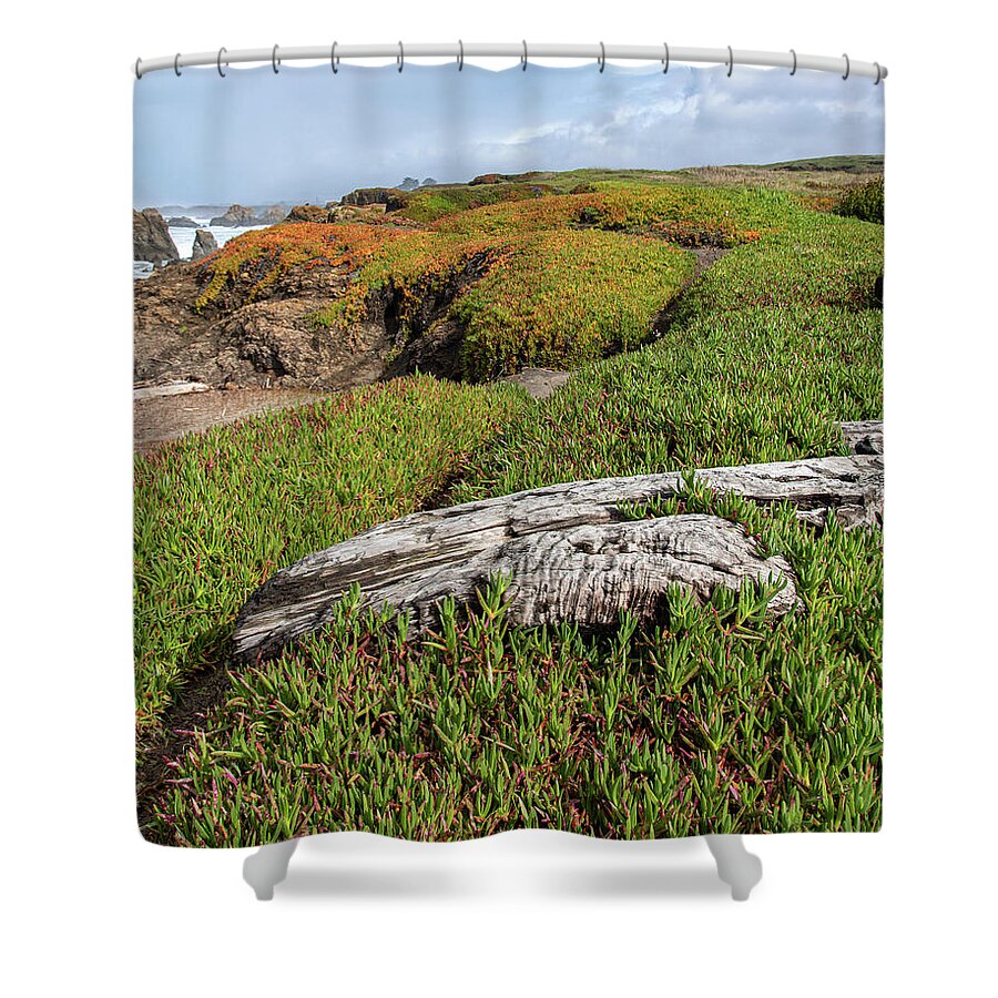 Coastal Landscape with Driftwood Shower Curtain
