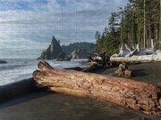 Driftwood on a Pebbled Beach Jigsaw Puzzle