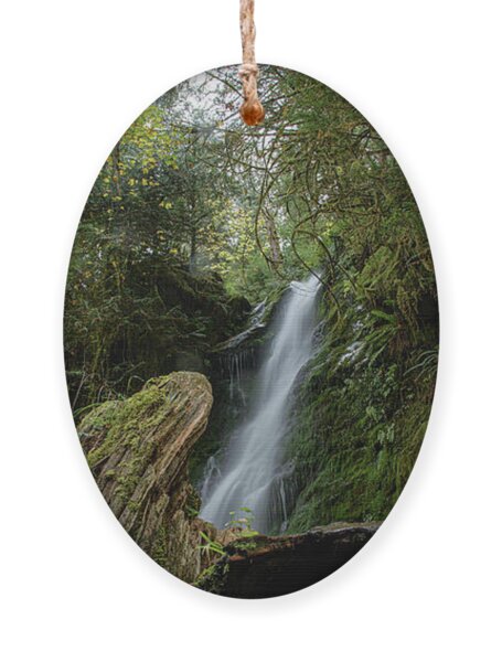Serene Waterfall in Lush Forest Ornament