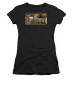 Mountain Goats in Natural Habitat Women's T-Shirt