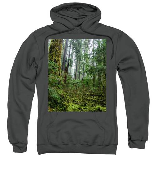 Misty Forest Silhouettes In Olympic National Park Sweatshirt