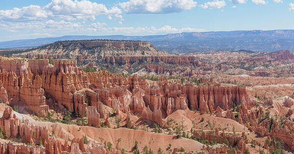 Majestic Hoodoos Of Bryce Canyon Poster