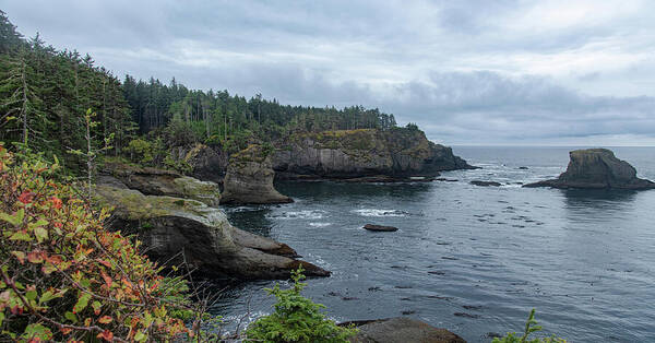 Serene Coastal Cliffs at Dawn Poster