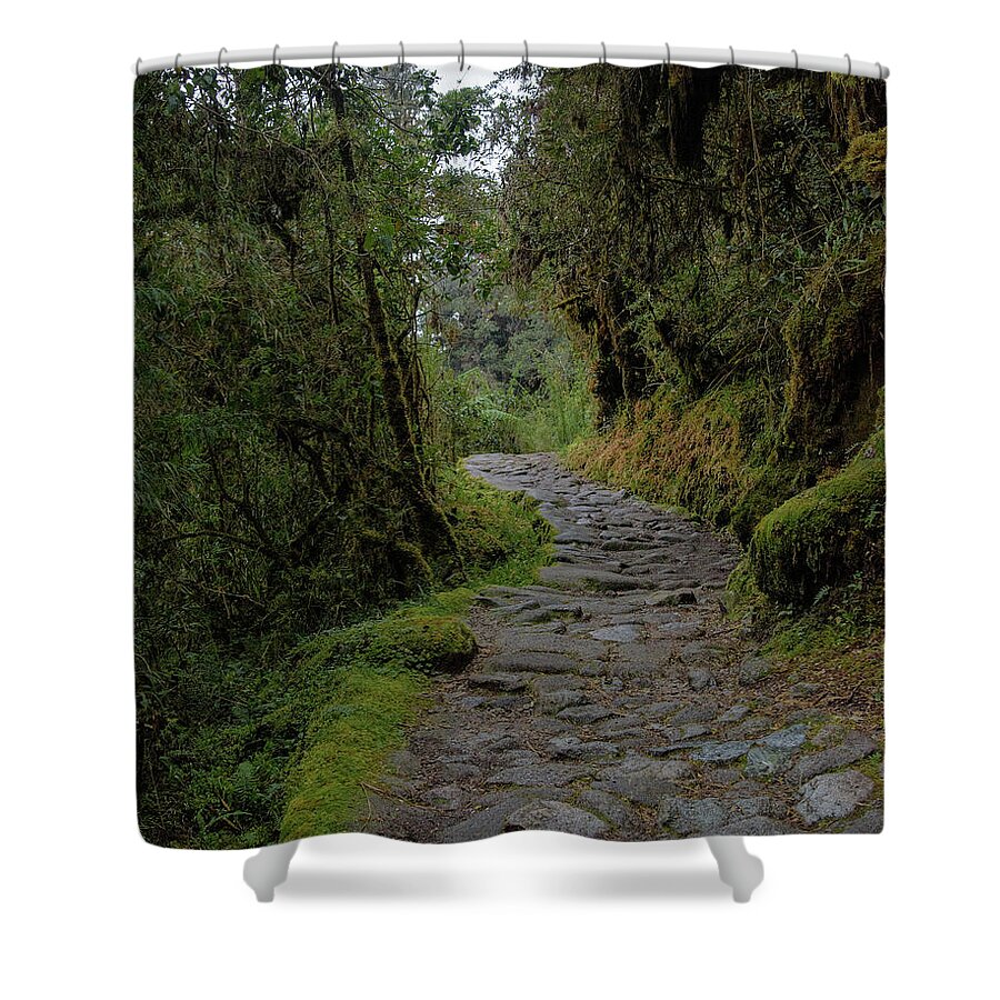 Moss-covered Path Through Lush Forest On The Inca Trail Shower Curtain