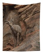 Bighorn Sheep On Rocky Terrain Tapestry