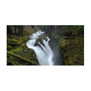 Serene Flow Through Mossy Forest by Brandon Wichmann Serene Flow Through Mossy Forest by Brandon Wichmann