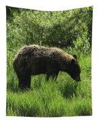 Solitary Bear In Grand Teton National Park Tapestry