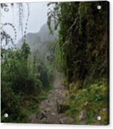 Misty Forest Pathway On The Inca Trail Acrylic Print