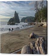 Rugged Coastal Landscape Canvas Print