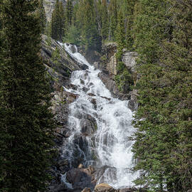 Waterfall Amidst Forest Landscape