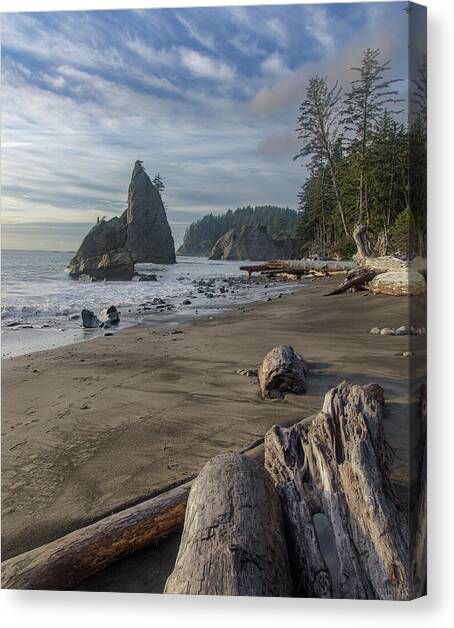Rugged Coastal Landscape Canvas Art Print by Brandon Wichmann