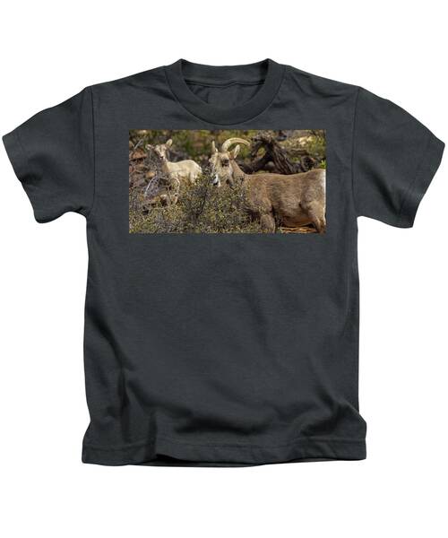 Mountain Goats in Natural Habitat Kids T-Shirt