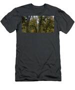 Moss-Covered Forest Trees T-Shirt