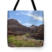 Winding Road Through Desert Canyon Tote Bag