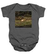Peaceful Fox In Sunlit Meadow Baby One-Piece