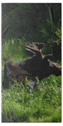 Moose Resting In Sunlit Meadow In Grand Teton National Park Bath Towel