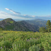 Mountain View with Wildflowers Art Print