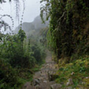 Misty Forest Pathway On The Inca Trail Poster