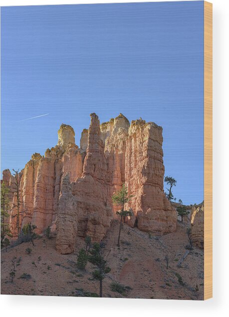 Majestic Sandstone Formations Of Bryce Canyon National Park Wood Print