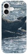 Seals Resting On Rocky Shoreline iPhone Case