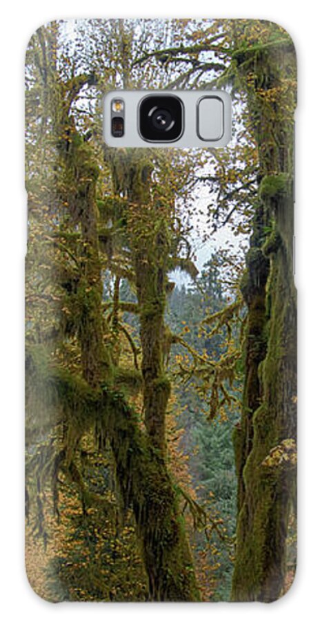 Moss-Covered Forest Trees Galaxy Case