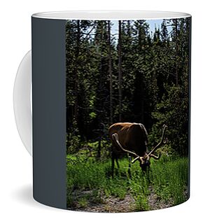 Wildlife Coffee Mugs