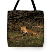 Fox Resting In Sunlit Clearing Tote Bag