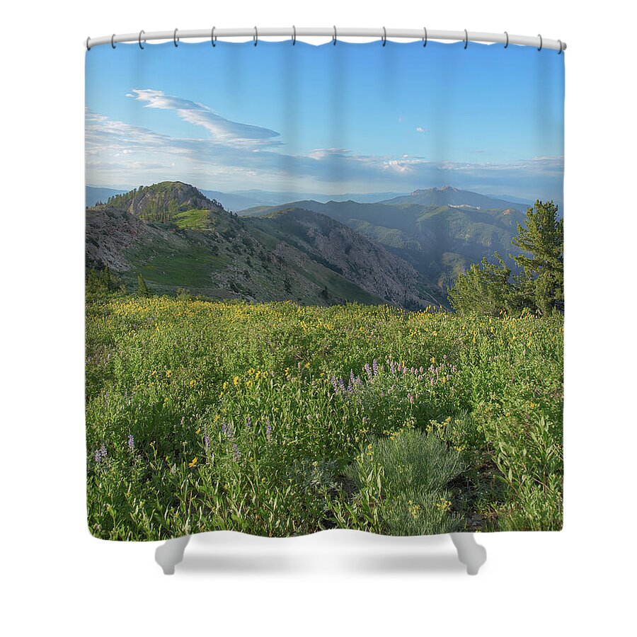 Mountain View with Wildflowers Shower Curtain
