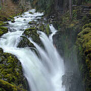 Serene Flow Through Mossy Forest Poster
