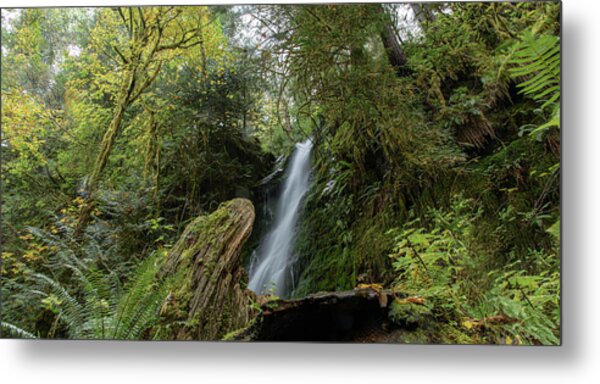 Serene Waterfall in Lush Forest Metal Print