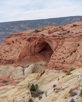 Wall Art featuring the photograph Natural Arch In Desert Landscape by Brandon Wichmann