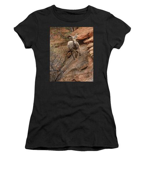 Big Horn Sheep Agile Descent In Zion National Park Women's T-Shirt