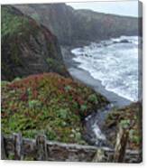 Rocky Coastline With Vibrant Foliage Canvas Print