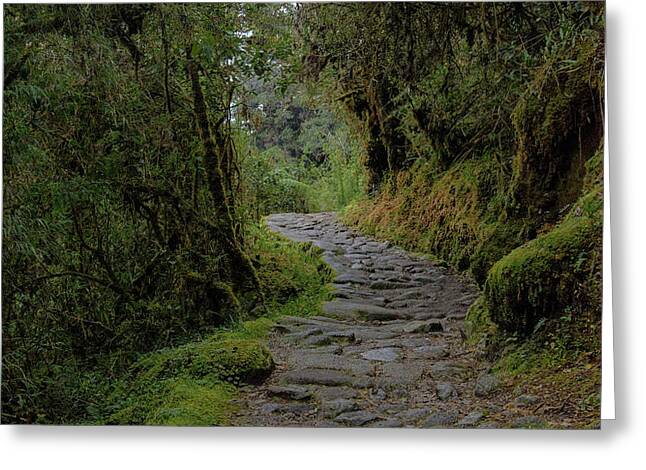 Moss-covered Path Through Lush Forest On The Inca Trail Greeting Card