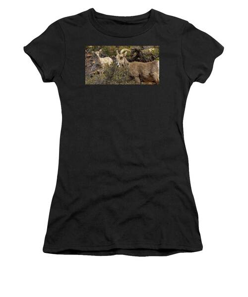 Mountain Goats in Natural Habitat Women's T-Shirt