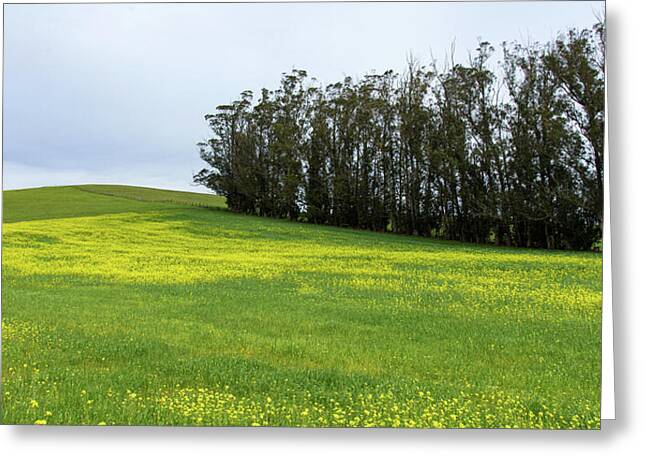 Shop for California Greeting Cards