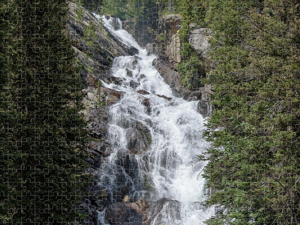 Waterfall Amidst Forest Landscape Jigsaw Puzzle