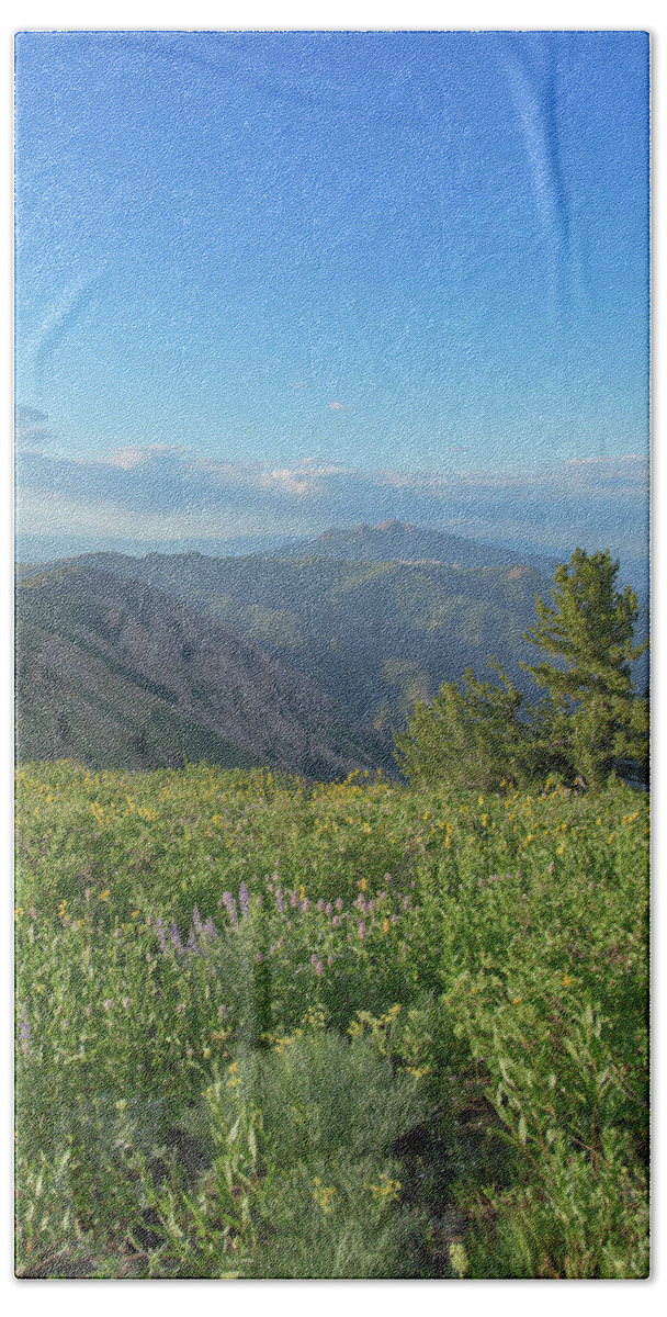 Mountain View with Wildflowers Hand Towel