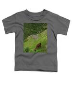 Winay Wayna With Grazing Llama Toddler T-Shirt